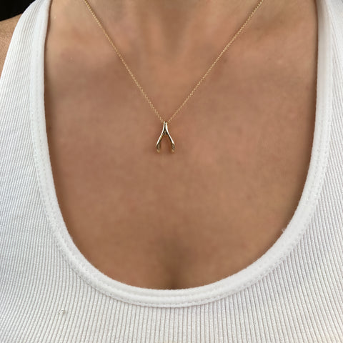 Lucky Wishbone Necklace